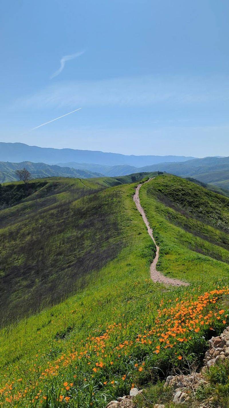Bane Ridge Trail Views That Reward Every Step of the Climb Bane Ridge Trail Views That Reward Every Step of the Climb