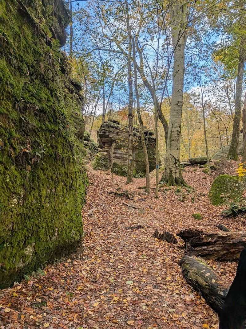 Bats, Caves, and Natural Wonders Around Every Corner