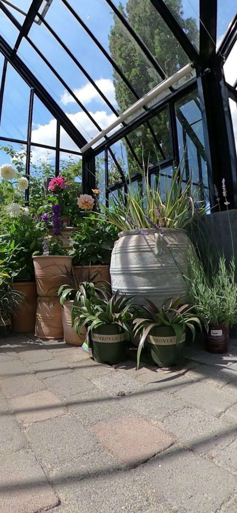 Beach Grass and Coastal Planting Expertise