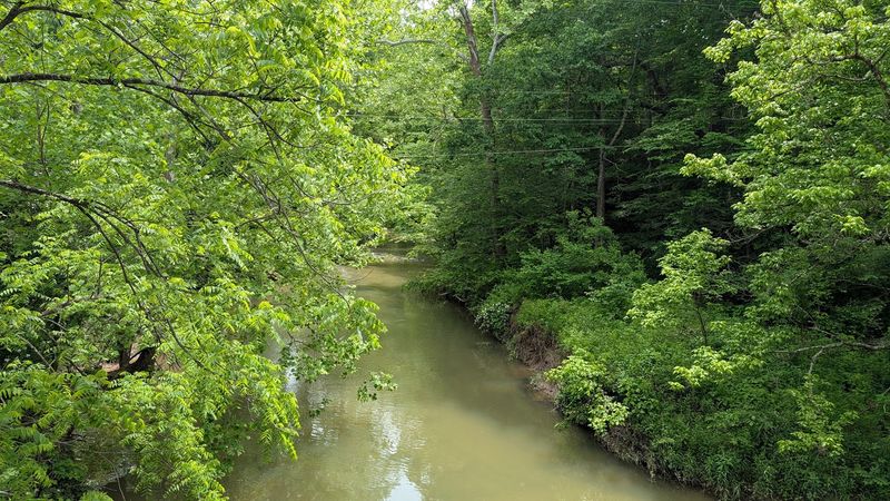 Bean Blossom Creek: A Scenic Bonus Right Below Your Feet