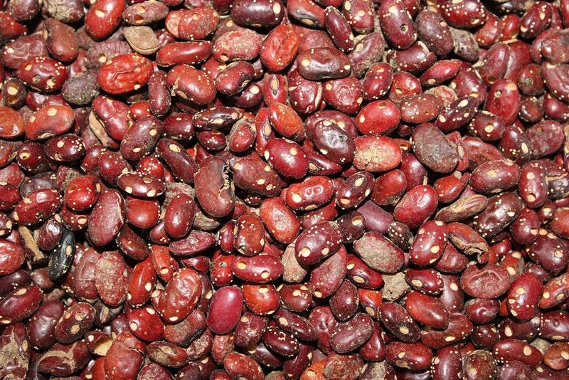 Beans