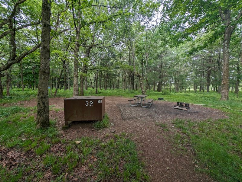 Bear Boxes at Every Site Keep Your Food Safe in the Wild Bear Boxes at Every Site Keep Your Food Safe in the Wild