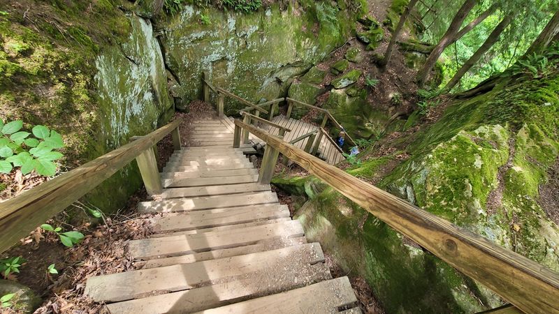 Bear Hollow and Its Wild Ladder Climbs