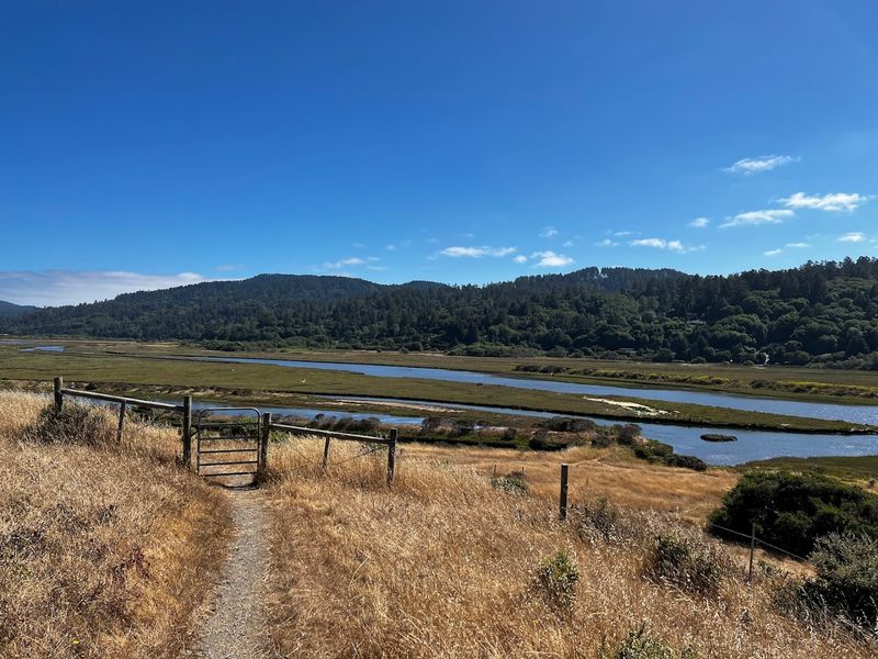 Bear Valley Trail: A Hike Worth Every Step