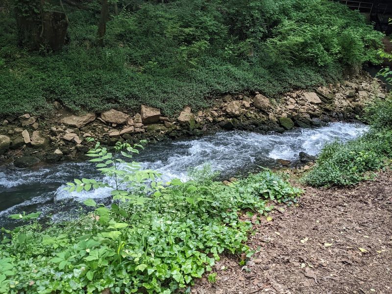 Beautiful Above-Ground Nature Trails