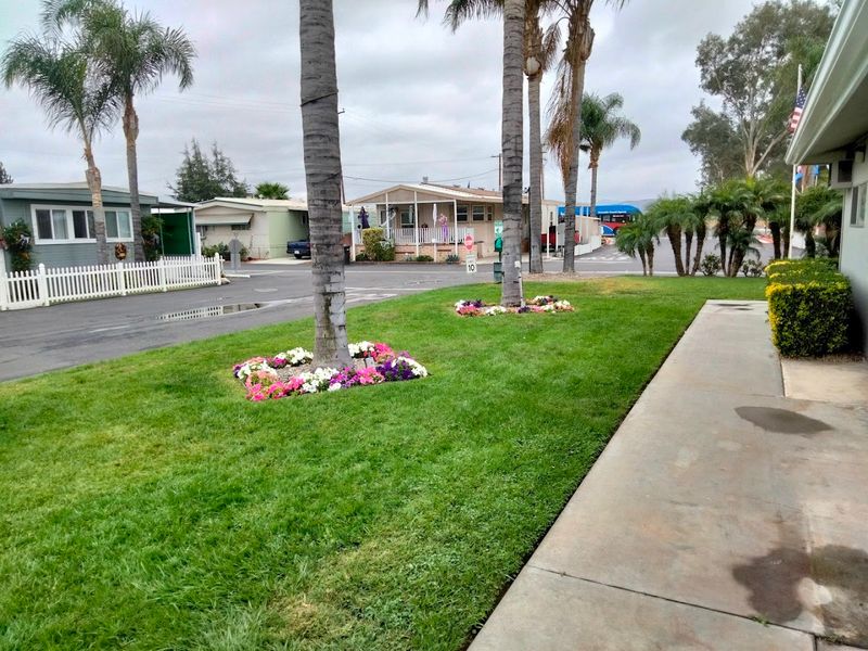 Beautiful Landscaping and Curb Appeal Throughout