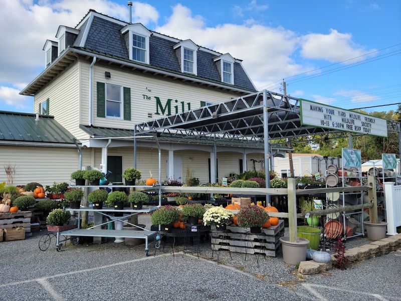 Bel Air Farmers Market: Fresh, Local, and Full of Life