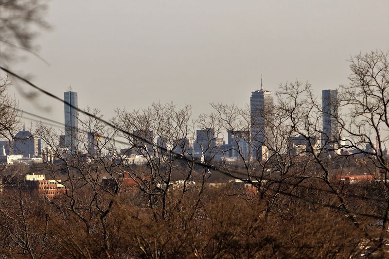 Belmont Hill: Elevated Views and Timeless Elegance