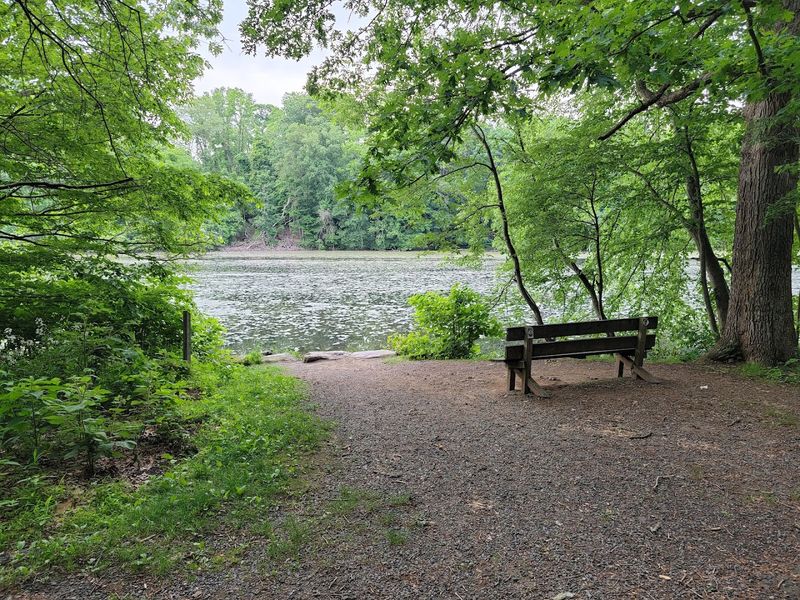 Benches, Picnic Spots, and Places to Simply Sit Benches, Picnic Spots, and Places to Simply Sit