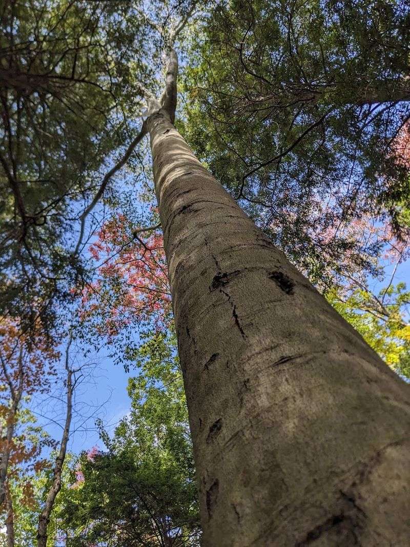 Best Seasons to Visit for Maximum Beauty
