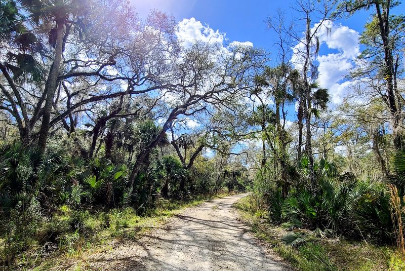 Best Seasons to Visit