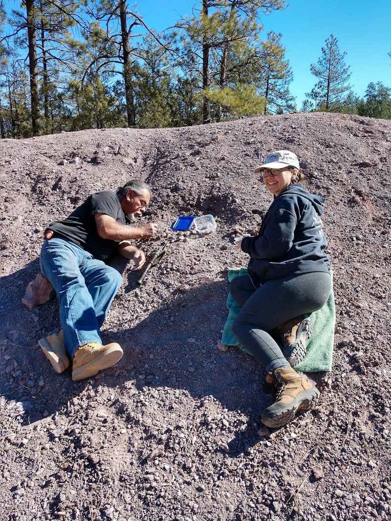 Best Spots on the Site to Search for Fossils Best Spots on the Site to Search for Fossils