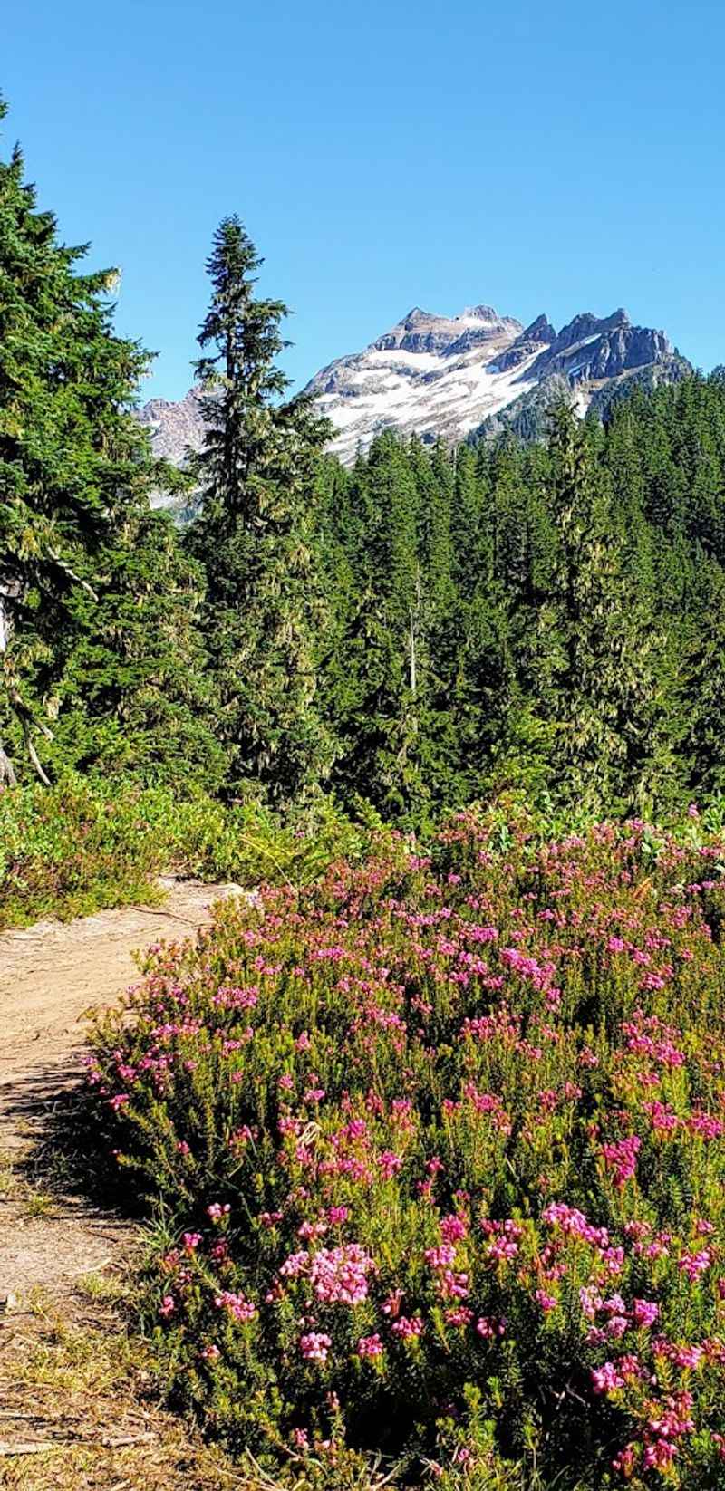 Best Time of Year to Visit Blanca Lake