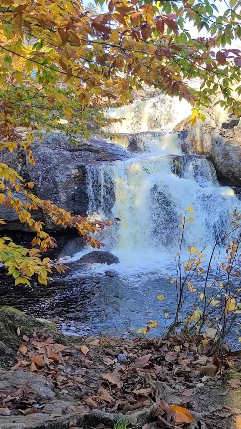 Best Time of Year to Visit Chapman Falls Best Time of Year to Visit Chapman Falls