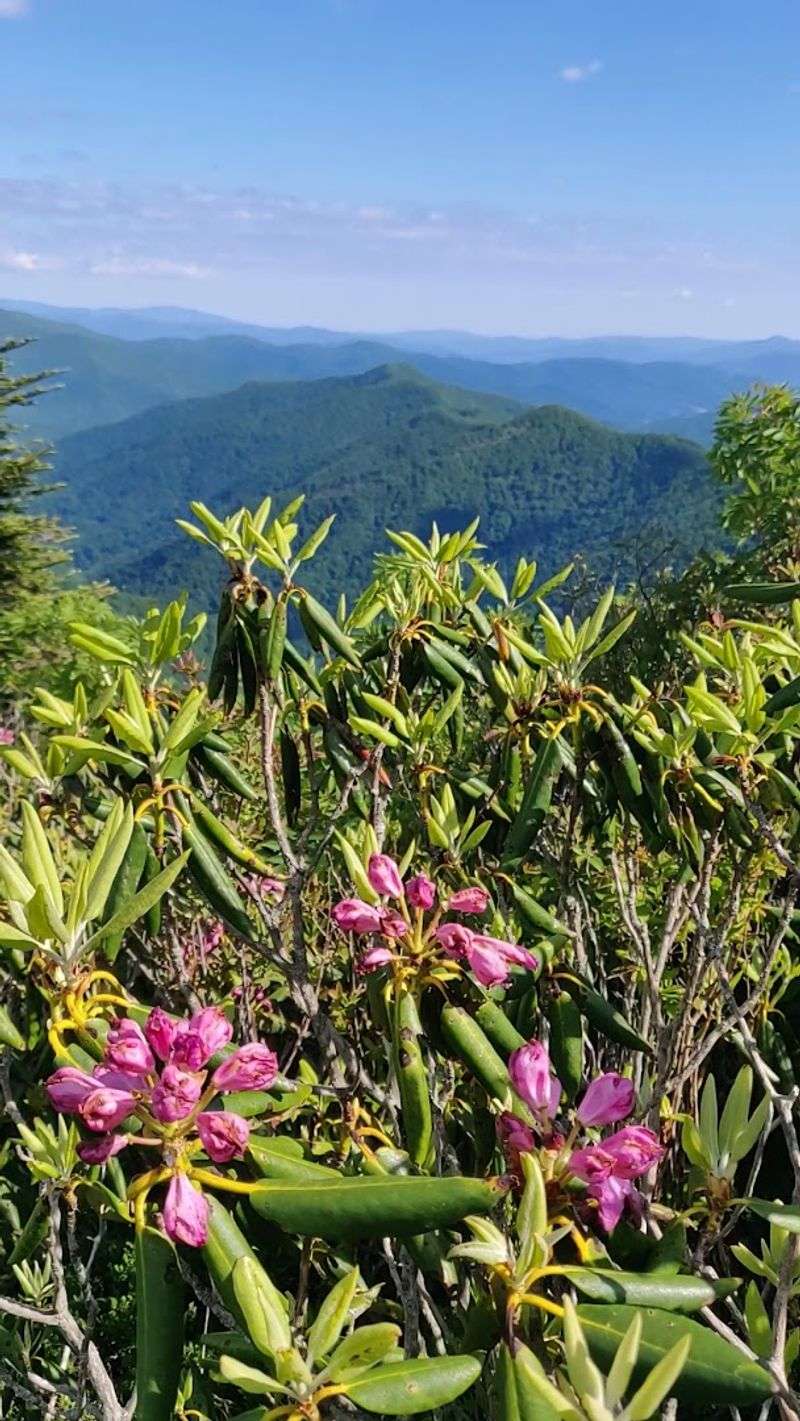 Best Time of Year to Visit Sam Knob