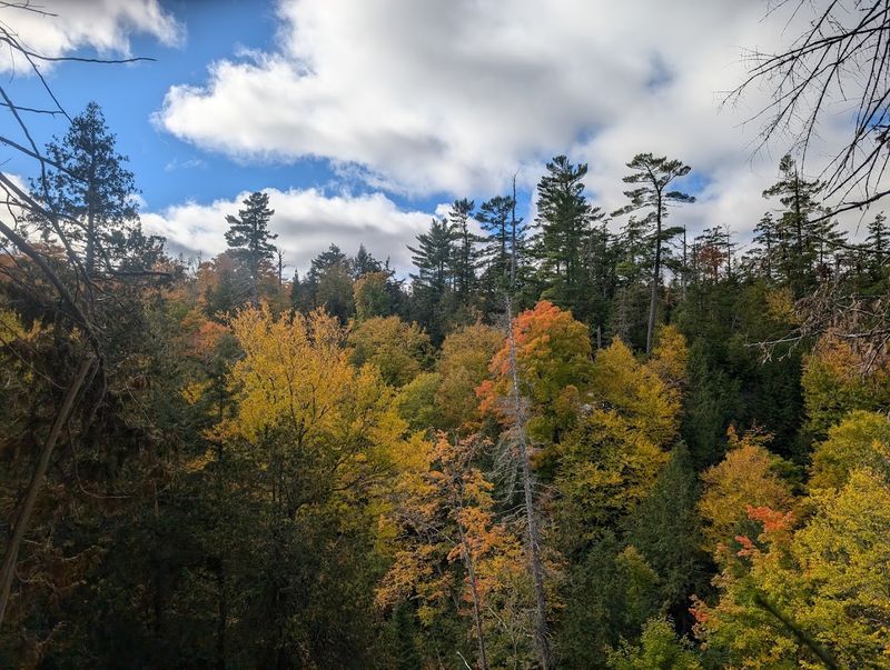 Best Time of Year to Visit the Falls