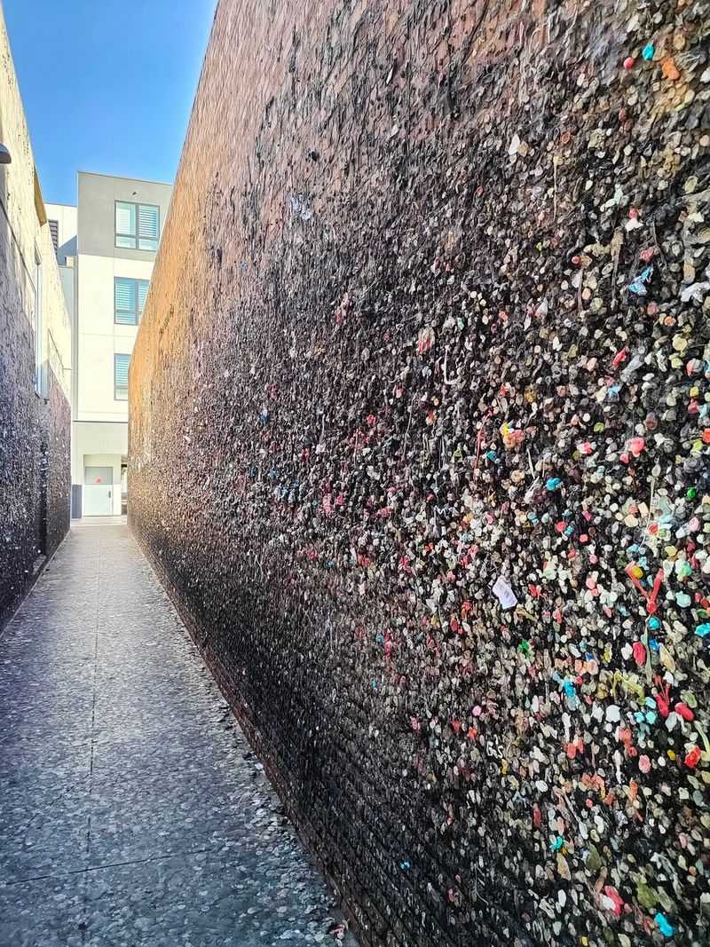 Best Time to Visit Gum Alley