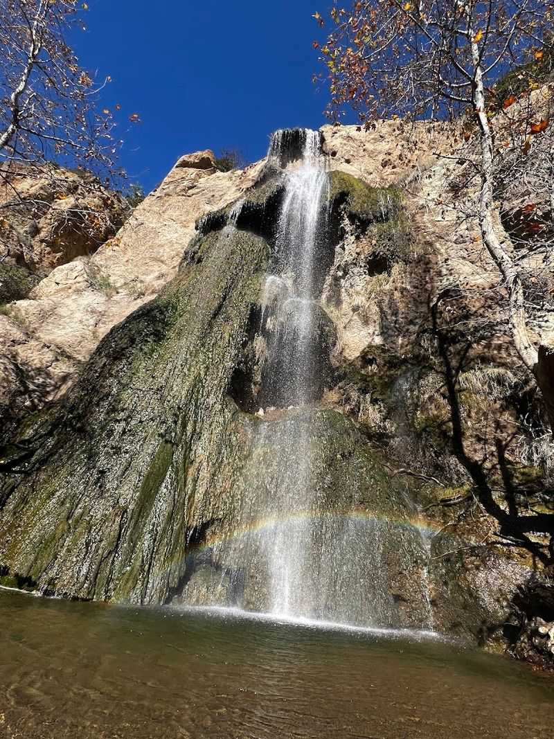 Best Time to Visit for Maximum Waterfall Flow