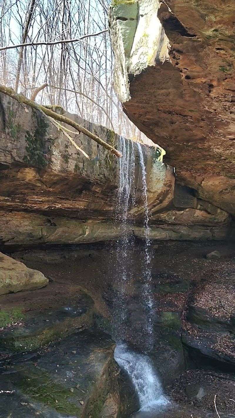 Best Times of Year to Visit