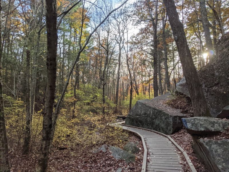 Best Times of Year to Visit Charley's Loop