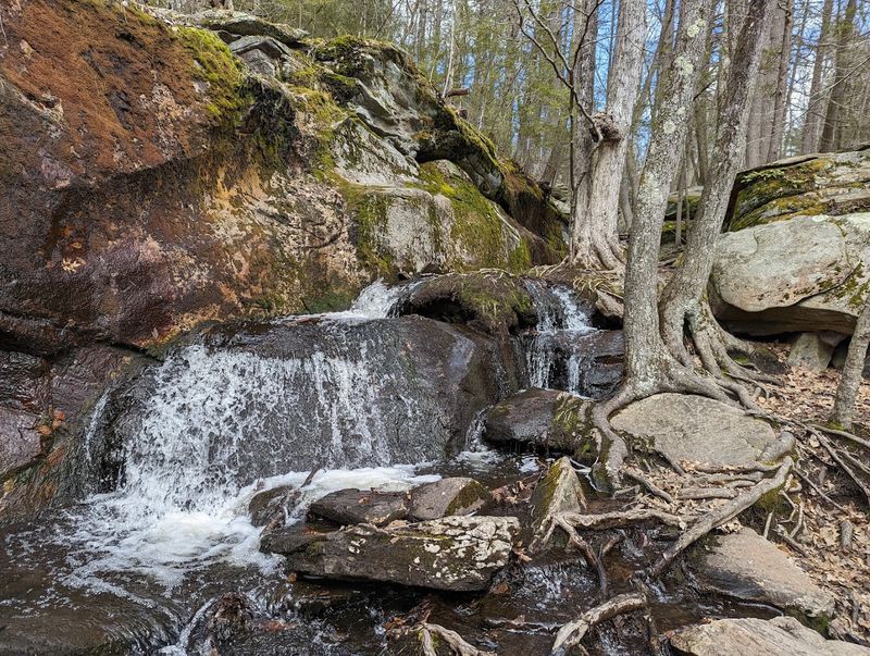 Best Times of Year to Visit the Chasm