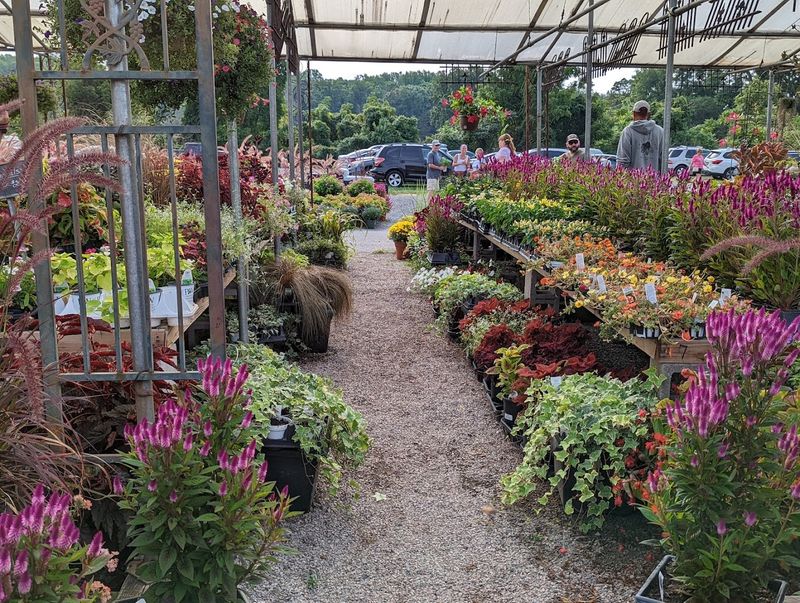 Best Visited in Summer for Maximum Vendor Turnout