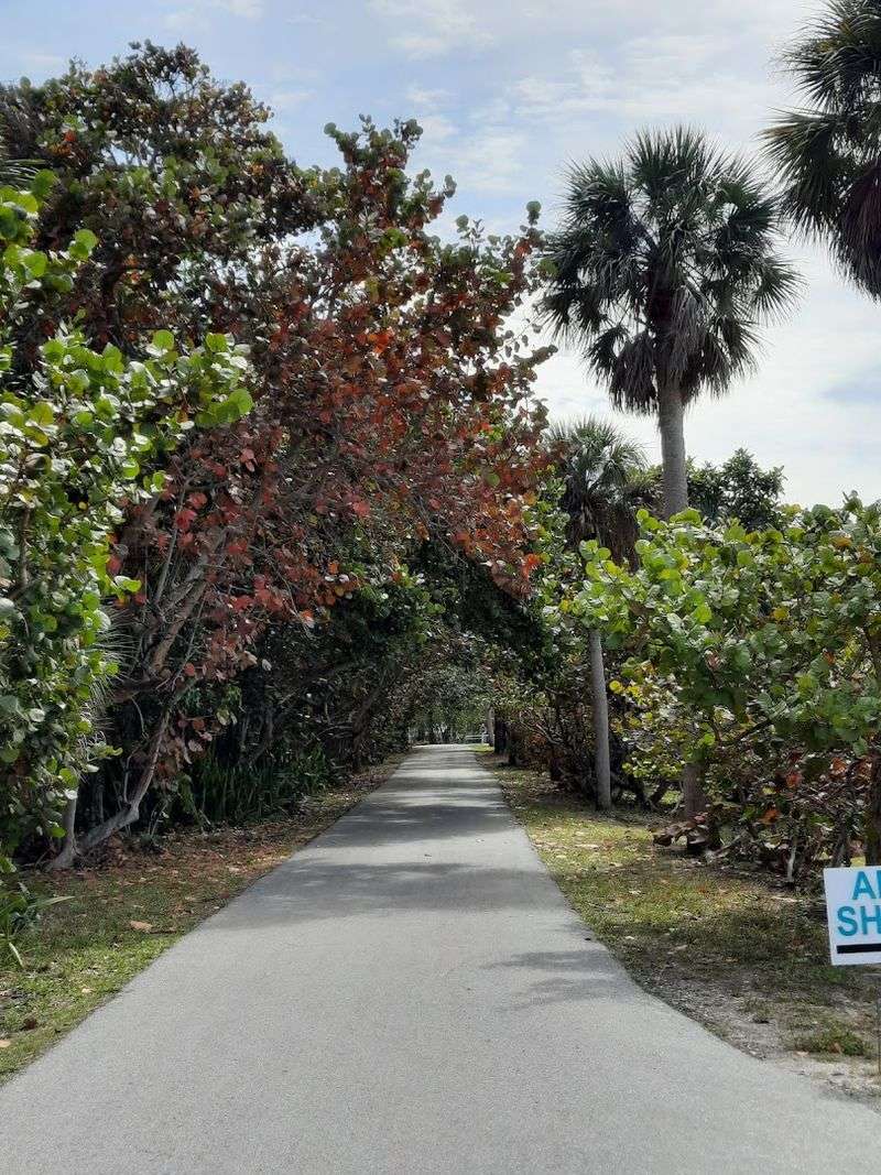 Bicycling the Island Trails