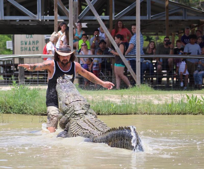 Big Al - The 13-Foot Celebrity Gator