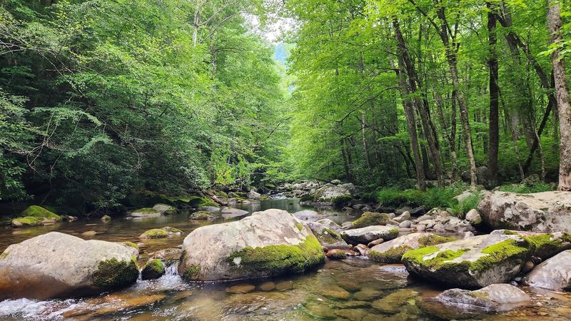Big Creek Itself Is the Star of the Show Big Creek Itself Is the Star of the Show
