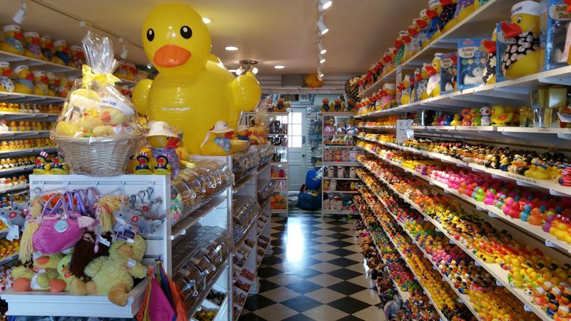 Big Ducks, Small Ducks, and Everything in Between