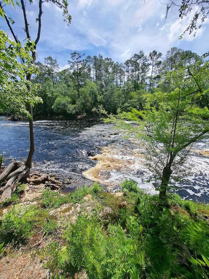 Big Shoals State Park – White Springs, Florida