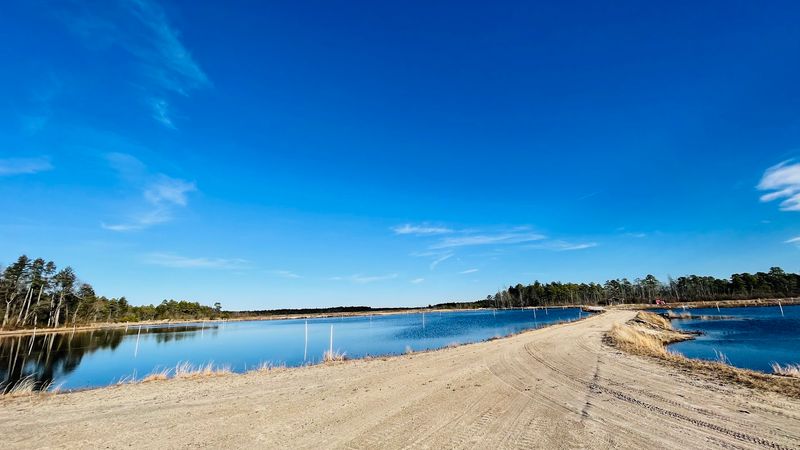 Biking Through Sandy Bog Roads and Pine Forest Paths