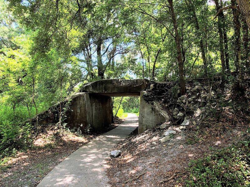 Biking Through a Living Florida Landscape Biking Through a Living Florida Landscape