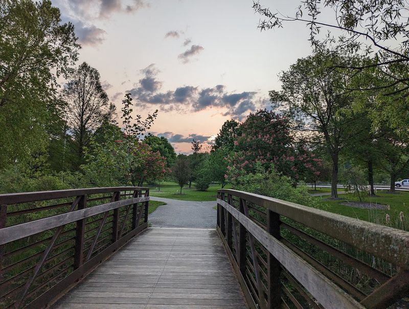 Biking Trails That Add Miles to Your Adventure