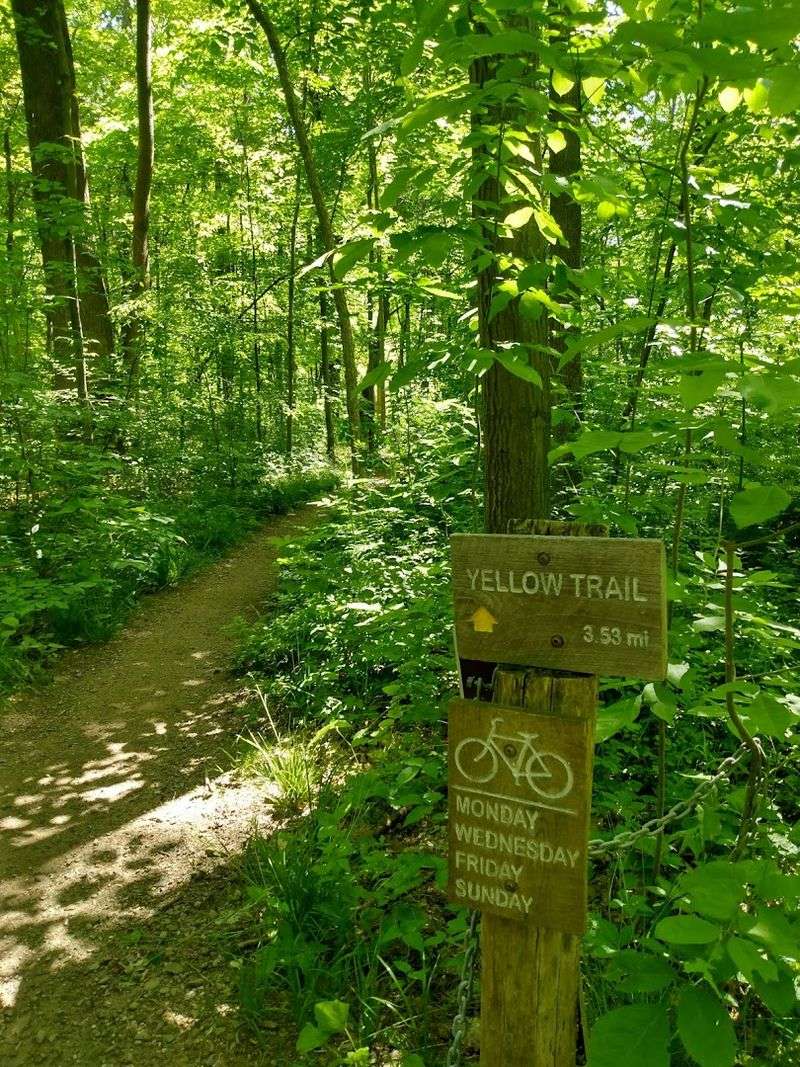 Biking Trails That Beg to Be Explored