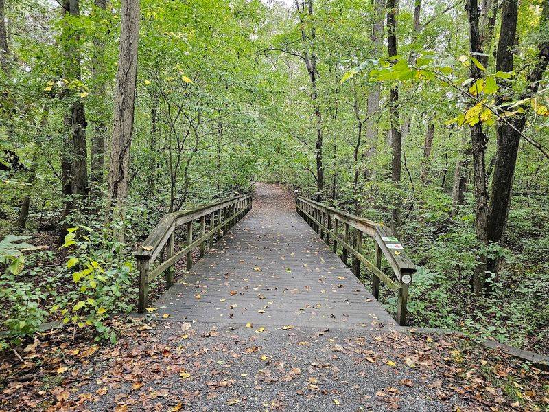 Biking the Park Trails