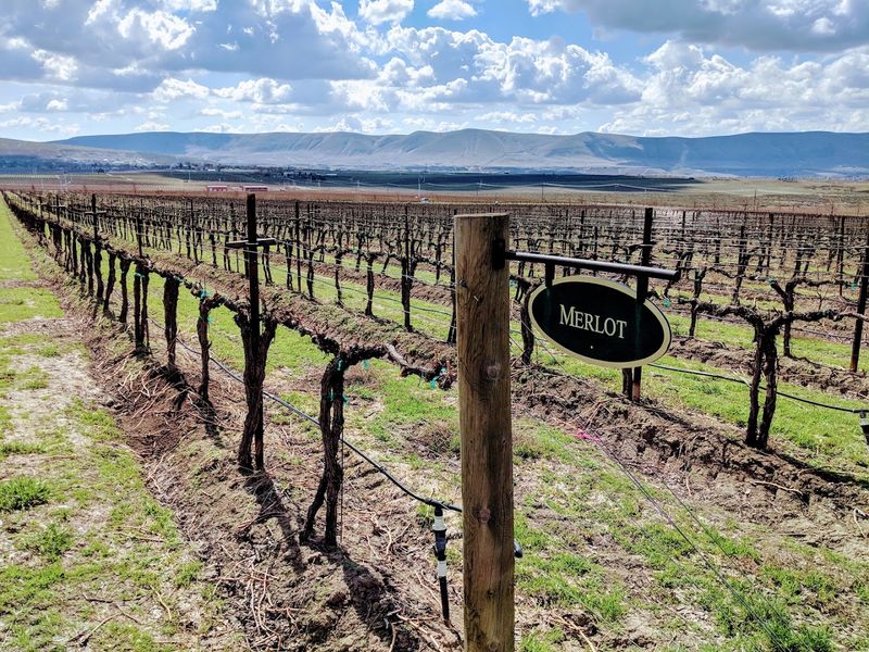 Biodynamic and Organic Farming That Actually Means Something