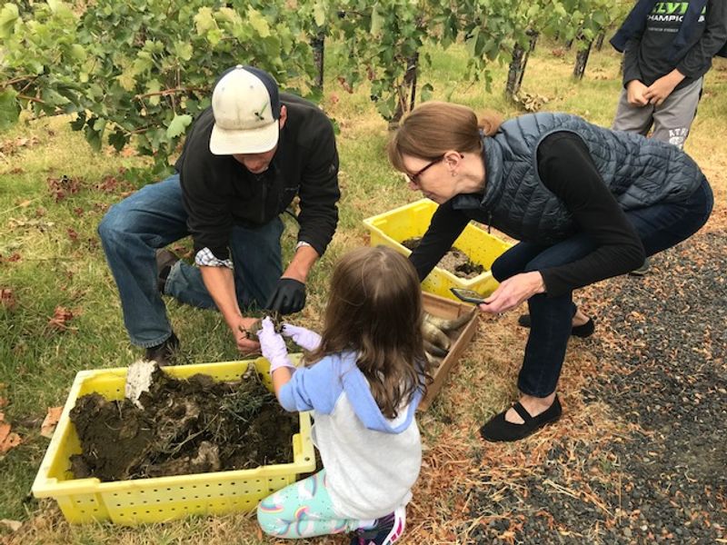 Biodynamic and Organic Farming That Sets Them Apart