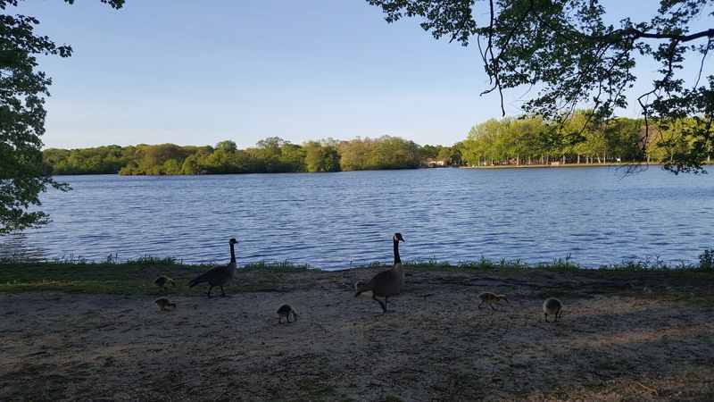 Bird Watching That Will Surprise Even Non-Birders