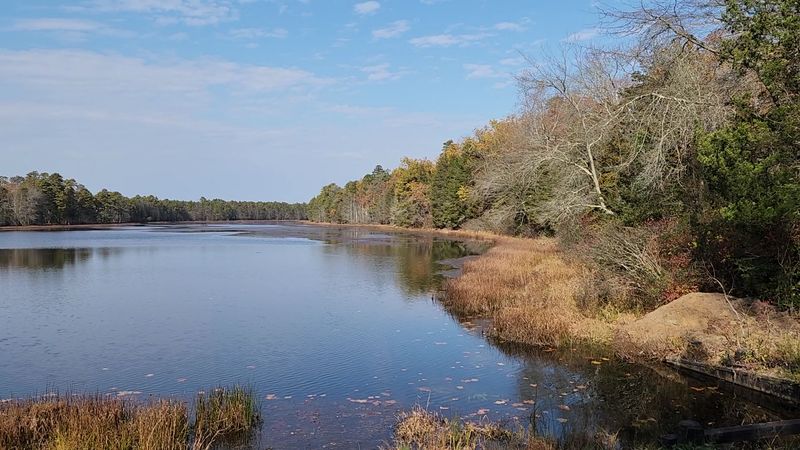 Bird Watching and Wildlife Spotting