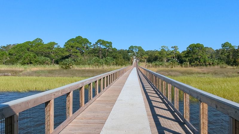 Birding Adventures Along the Gulf Coast Flyway