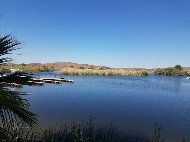 Birding Paradise Along the Lower Colorado River Valley