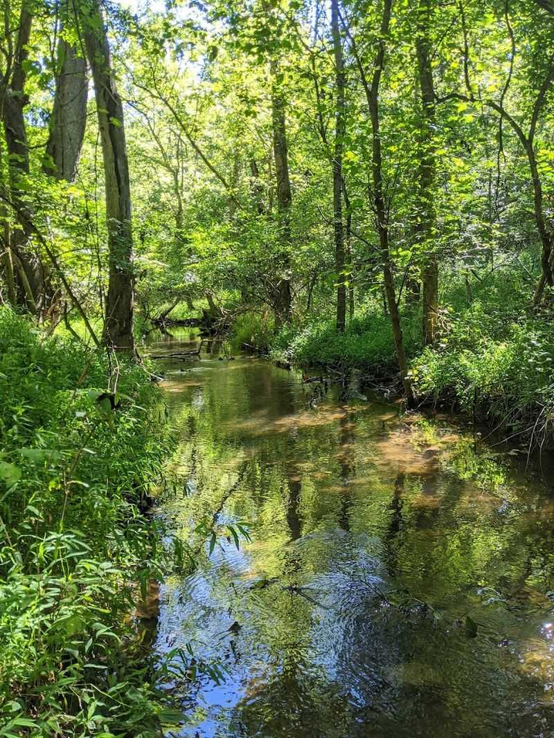 Birding Paradise Hidden Within the Park's Trails Birding Paradise Hidden Within the Park's Trails