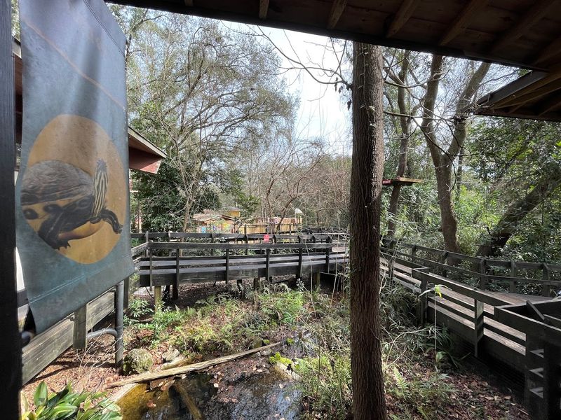 Birds of Prey Habitat