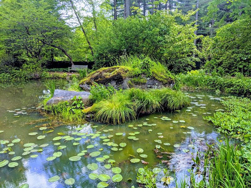 Birdsong and Tranquility That Restore Your Soul