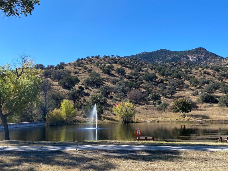 Birdwatching Community and Events in Sierra Vista Birdwatching Community and Events in Sierra Vista