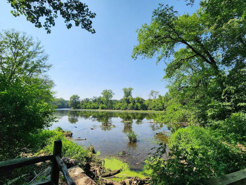 Birdwatching Heaven in Oak Brook