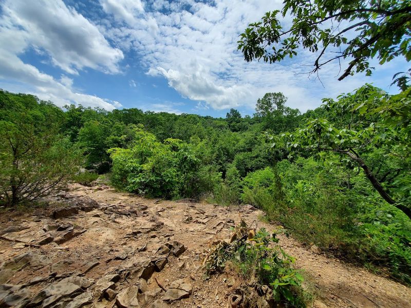 Birdwatching Paradise: Binoculars Are Your Best Friend Here