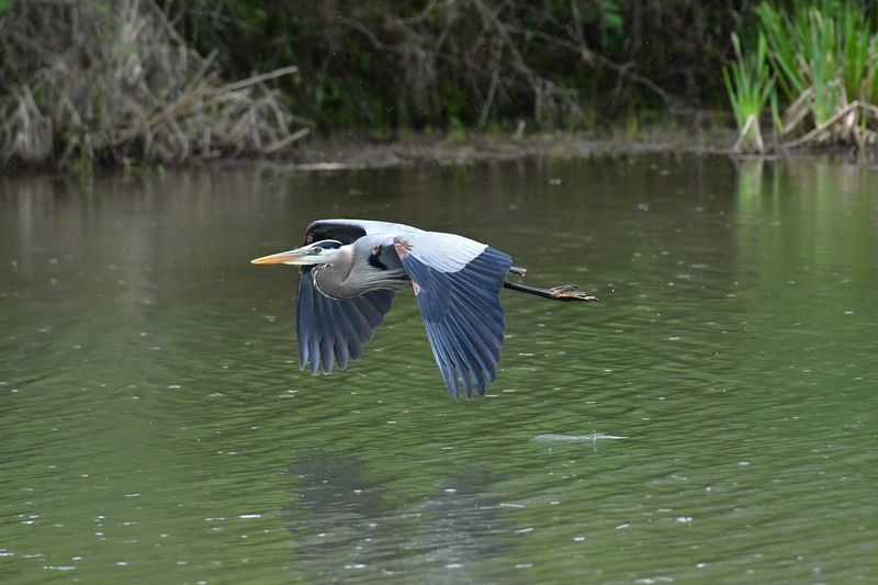 Birdwatching Paradise for Nature Enthusiasts Birdwatching Paradise for Nature Enthusiasts