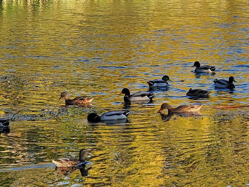 Birdwatching Paradise